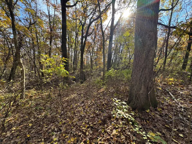 $399,000 | S3399 County Road P, Fountain City, WI 54629