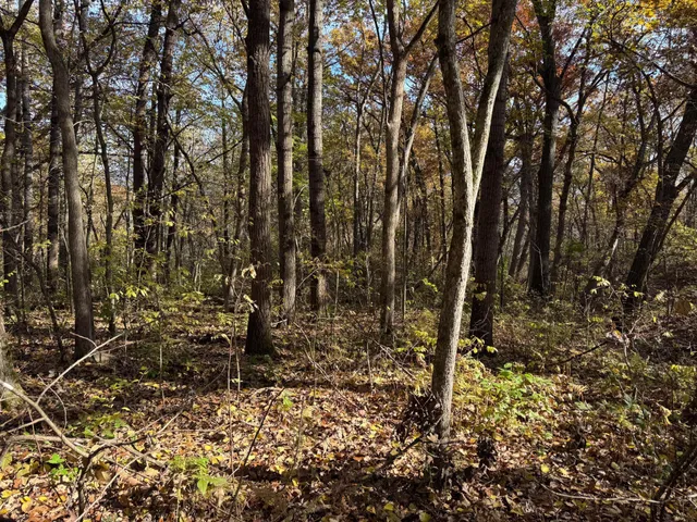 $399,000 | S3399 County Road P, Fountain City, WI 54629