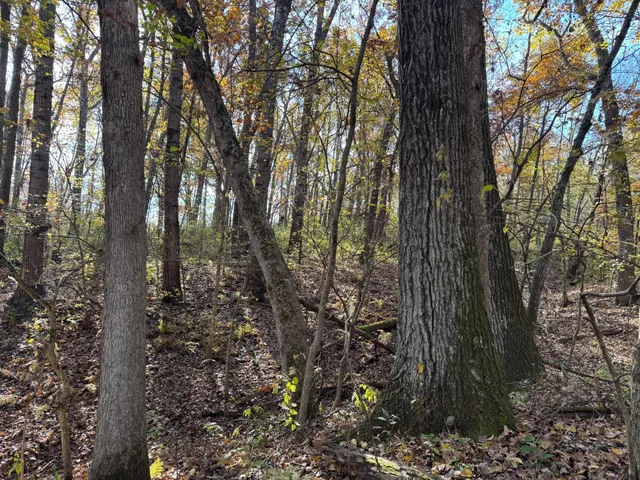 $399,000 | S3399 County Road P, Fountain City, WI 54629