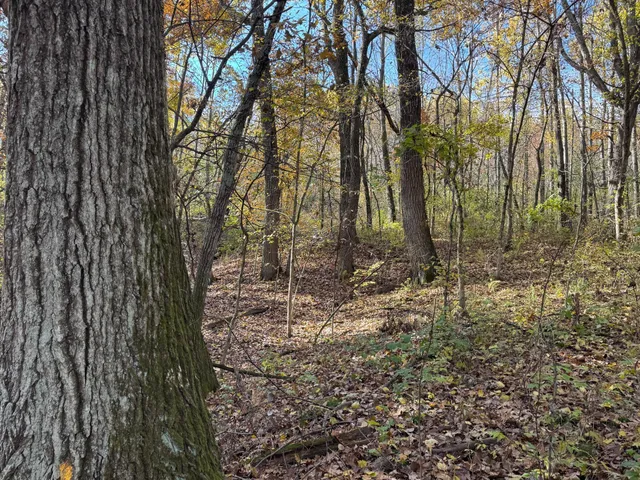 $399,000 | S3399 County Road P, Fountain City, WI 54629