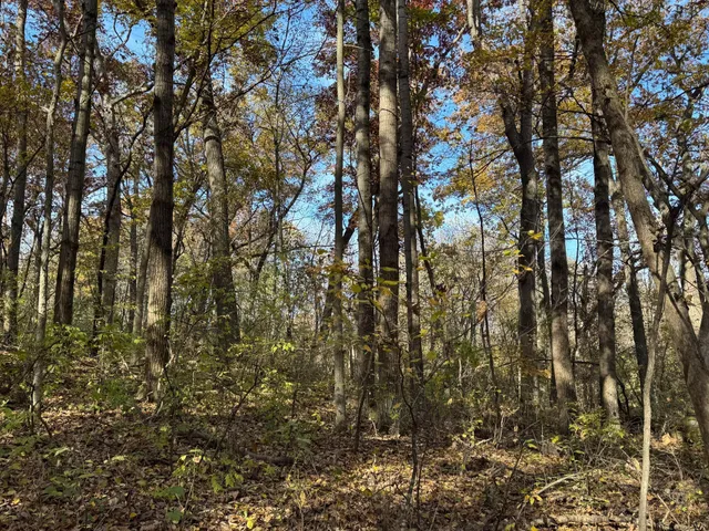 $399,000 | S3399 County Road P, Fountain City, WI 54629