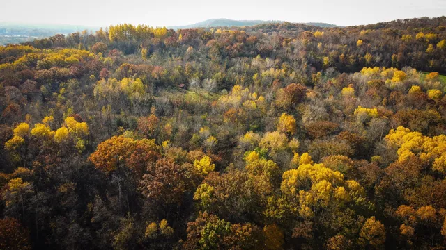 $399,000 | S3399 County Road P, Fountain City, WI 54629