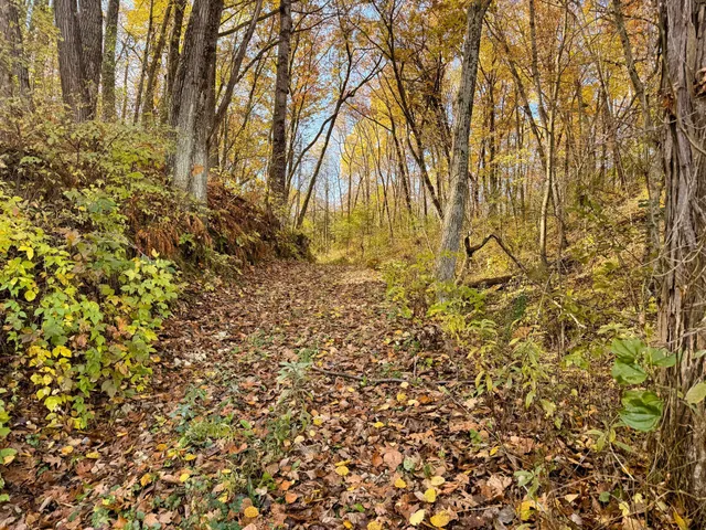 $399,000 | S3399 County Road P, Fountain City, WI 54629