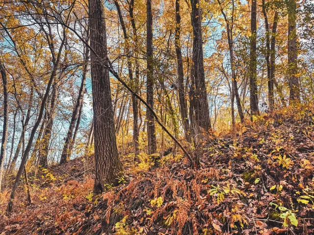 $399,000 | S3399 County Road P, Fountain City, WI 54629