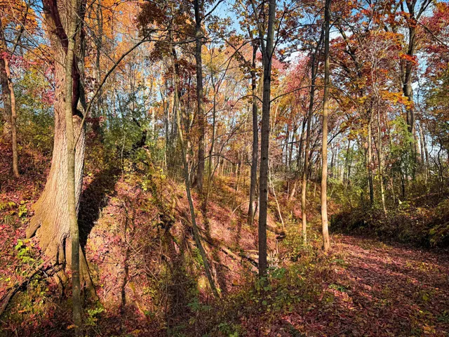 $399,000 | S3399 County Road P, Fountain City, WI 54629