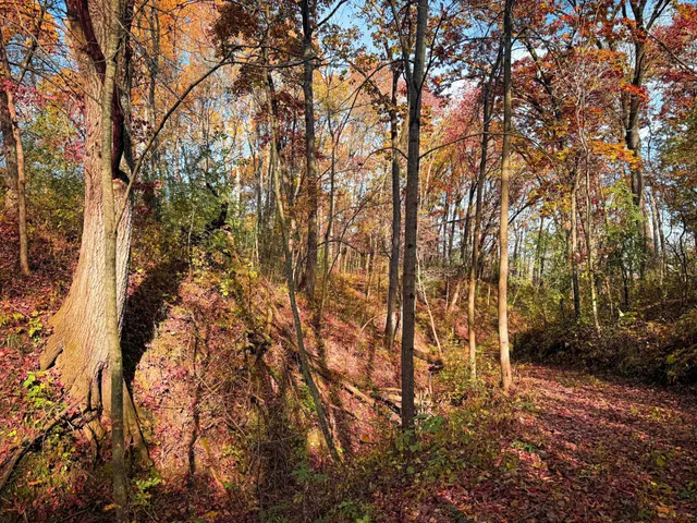 $399,000 | S3399 County Road P, Fountain City, WI 54629