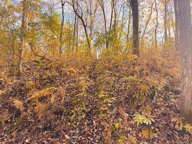 $399,000 | S3399 County Road P, Fountain City, WI 54629