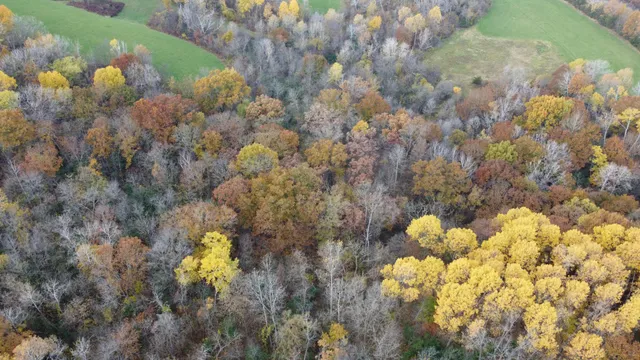 $399,000 | S3399 County Road P, Fountain City, WI 54629