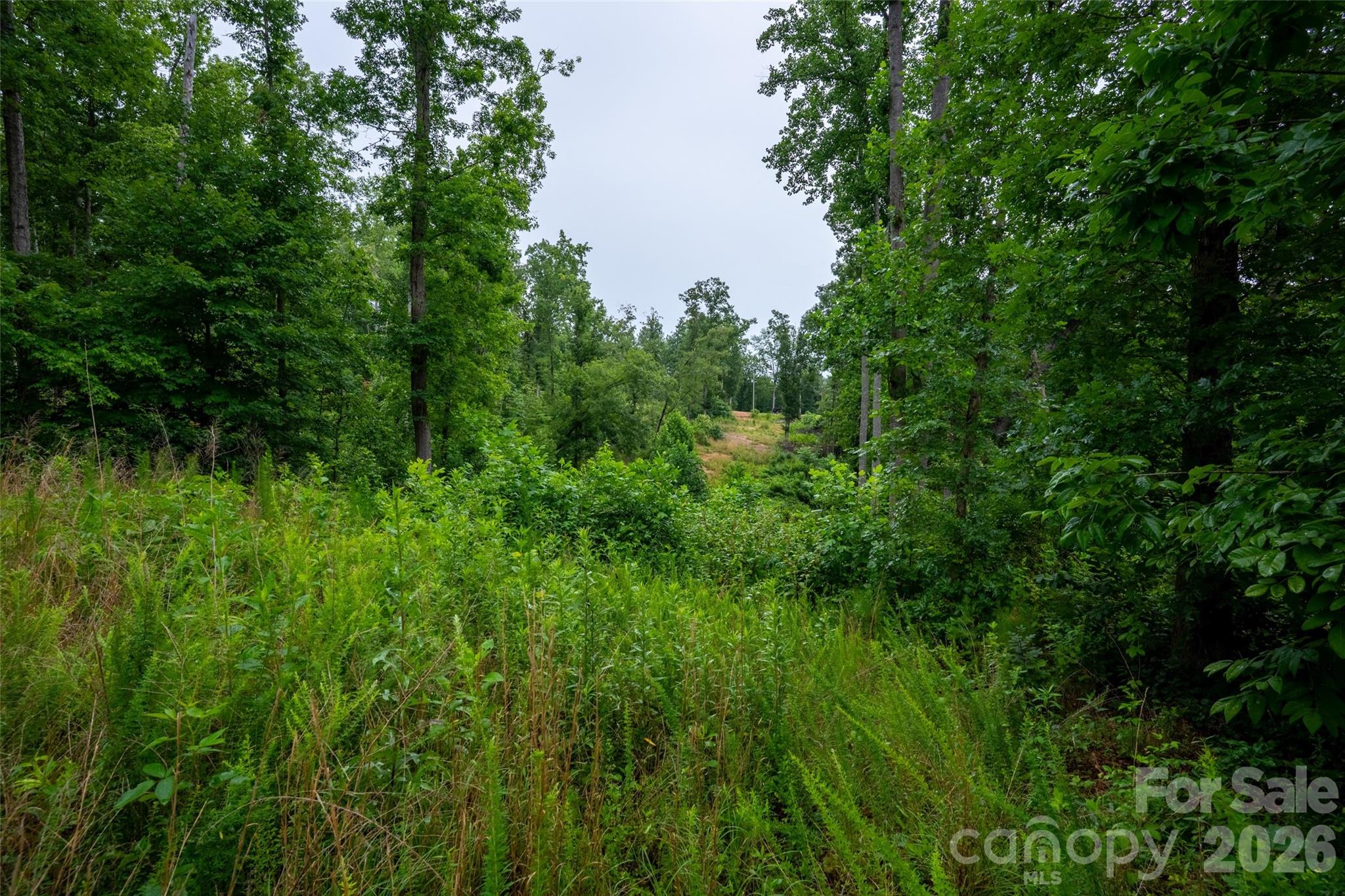 443 Polk County Line Road Rutherfordton, NC 28139 - Photo 28 of 31