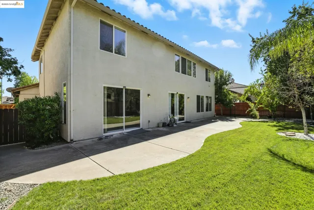 a view of a park with a large trees