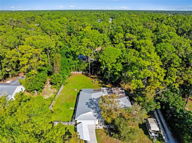 a view of a yard with plants