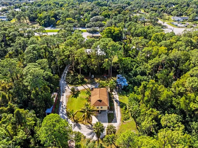 a view of a garden with plants