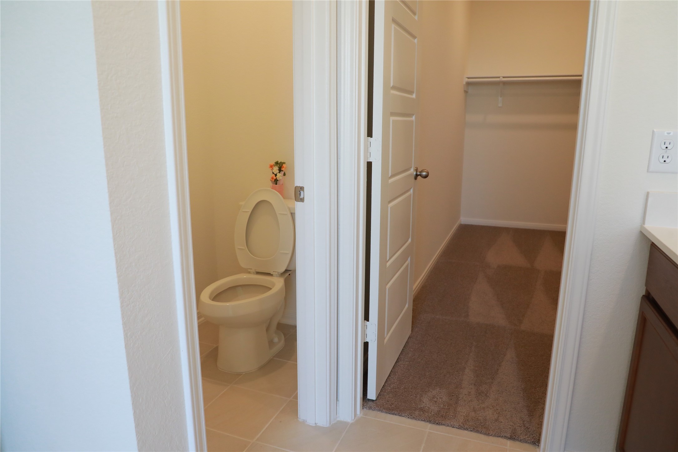 1419 Capitola Lane Rosharon, TX 77583 - Photo 35 of 41