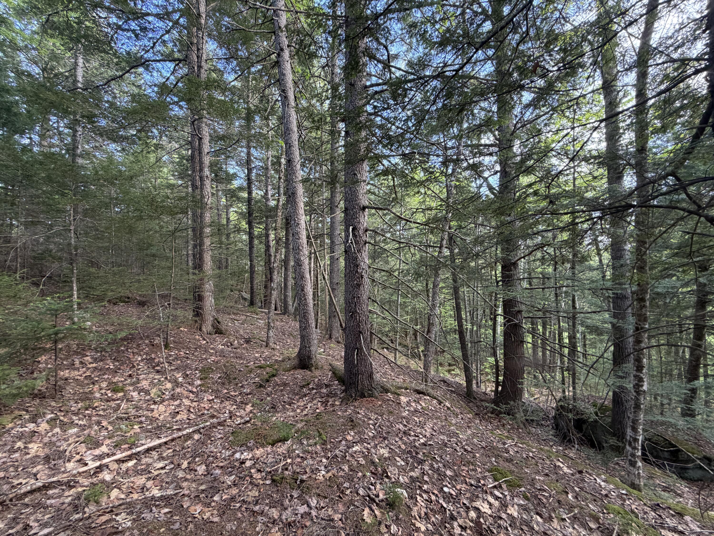Lot 41-1 Bottle Lake Road Lakeville, ME 04487 - Photo 7 of 23 IMG_0897