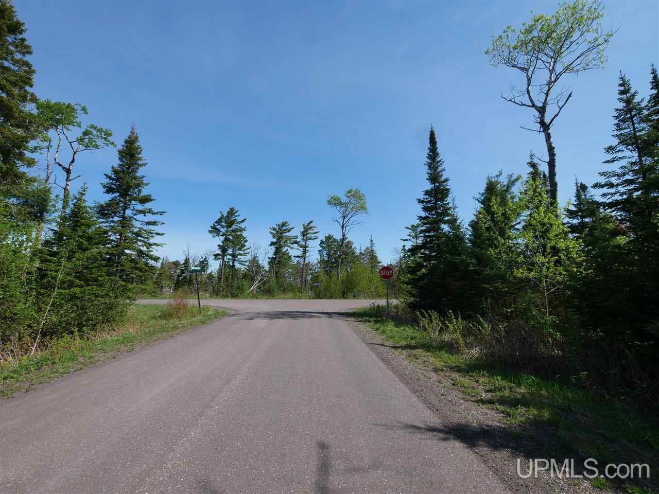 44 North Coast Road Copper Harbor, MI 49918 - Photo 2 of 10