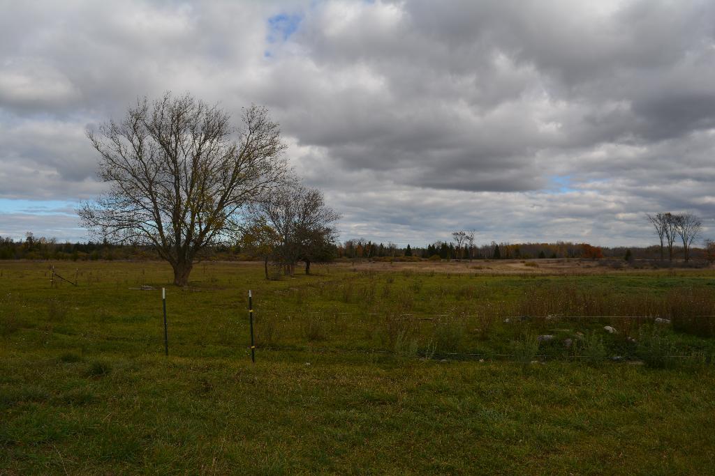7477 Cathro Road Alpena, MI 49707 - Photo 13 of 15 Gallery Image 13