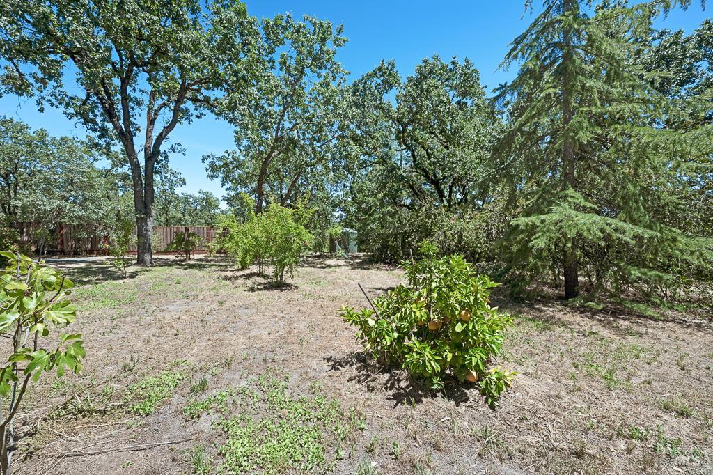 1769 Olivet Road Santa Rosa, CA 95401 - Photo 16 of 43