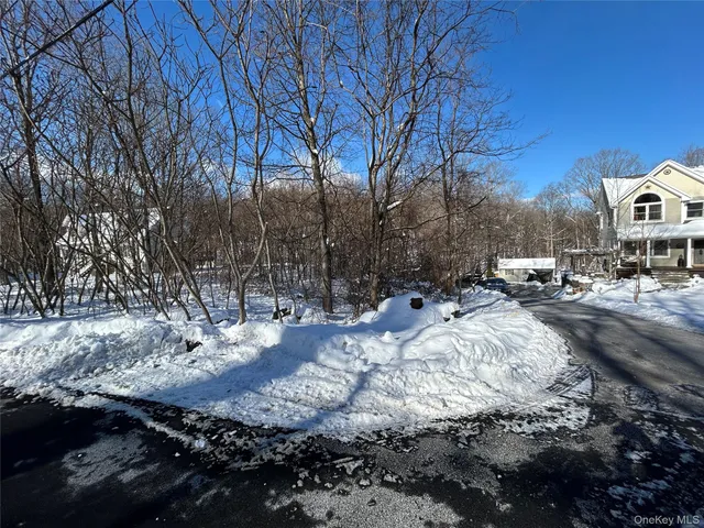 a view of outdoor space with lots of trees