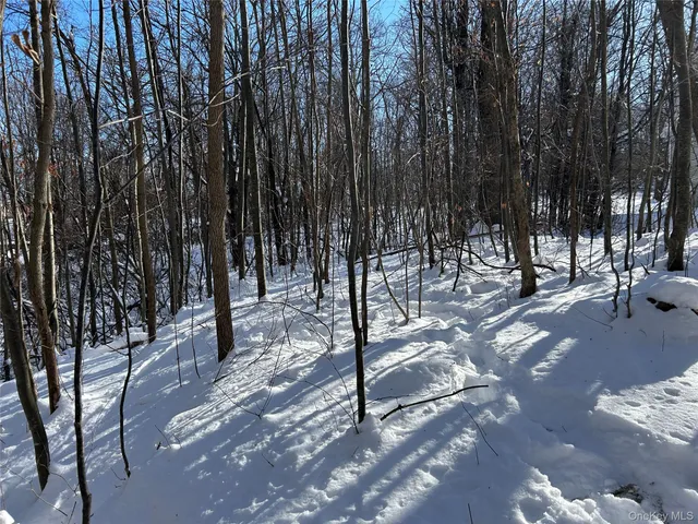 a backyard of a house with large trees and covered with wooden fence