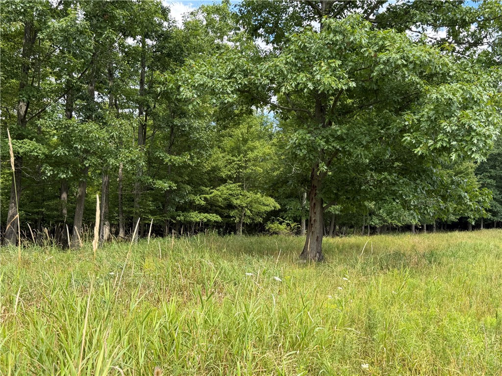 Vl Barney Road North Fillmore, NY 14735 - Photo 38 of 50 Gallery Image 38
