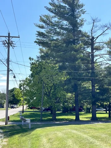a view of a park with large trees