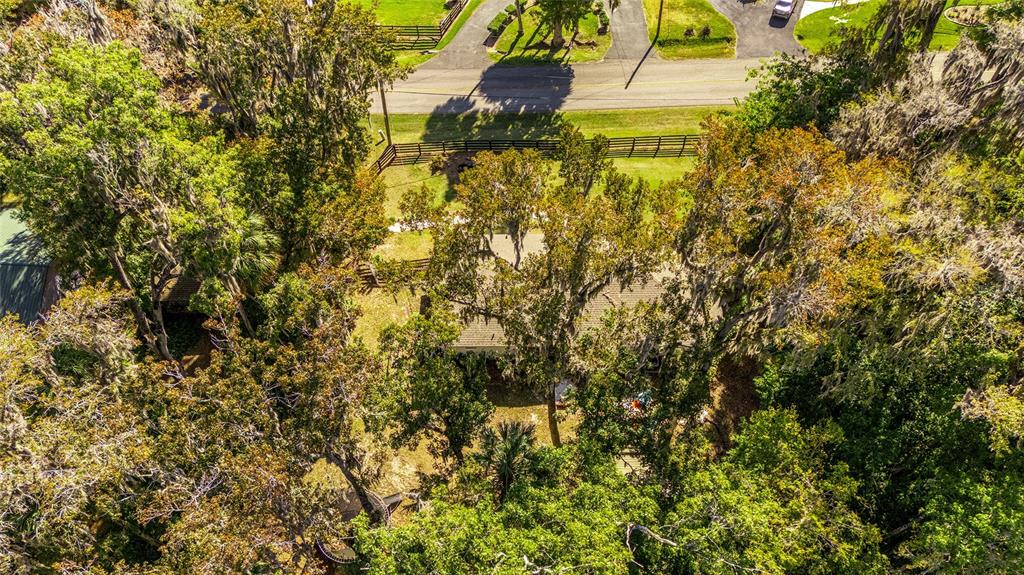 541 Southwest 35th Street Ocala, FL 34471 - Photo 54 of 60