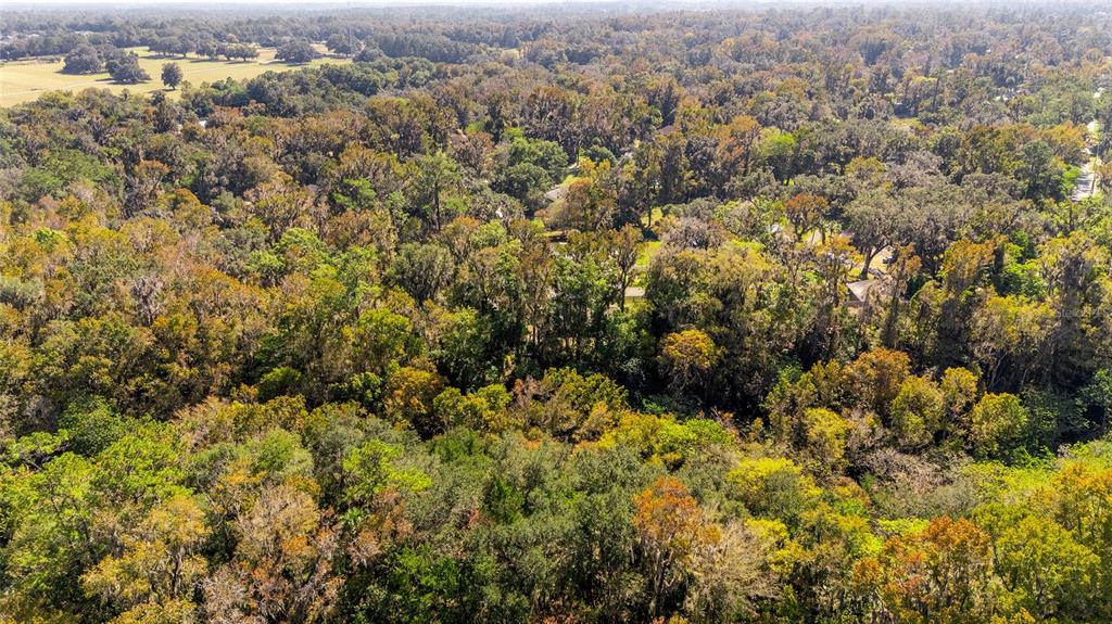541 Southwest 35th Street Ocala, FL 34471 - Photo 55 of 60
