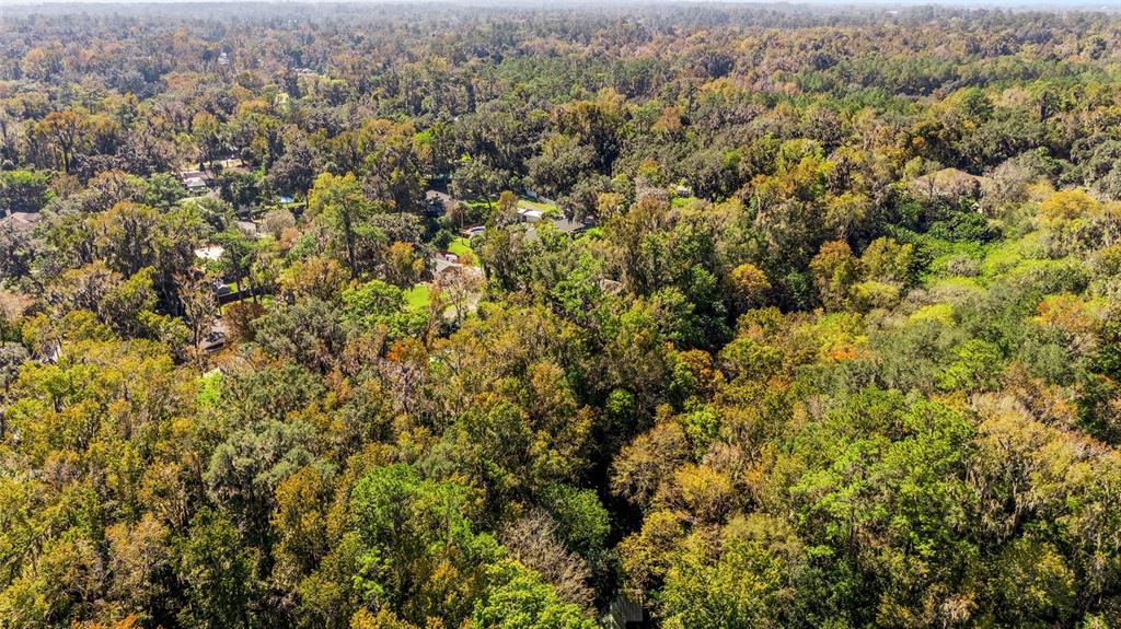 541 Southwest 35th Street Ocala, FL 34471 - Photo 56 of 60