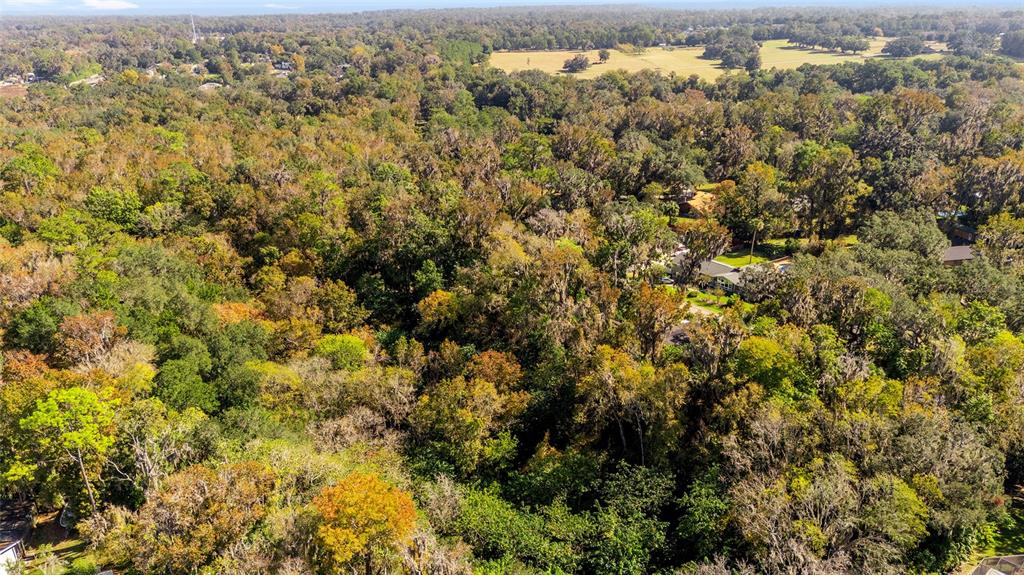 541 Southwest 35th Street Ocala, FL 34471 - Photo 57 of 60