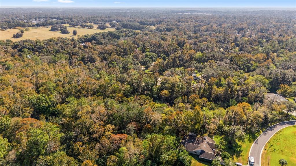 541 Southwest 35th Street Ocala, FL 34471 - Photo 58 of 60