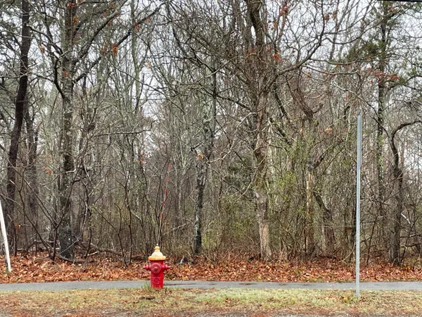 a fire pit in middle of forest