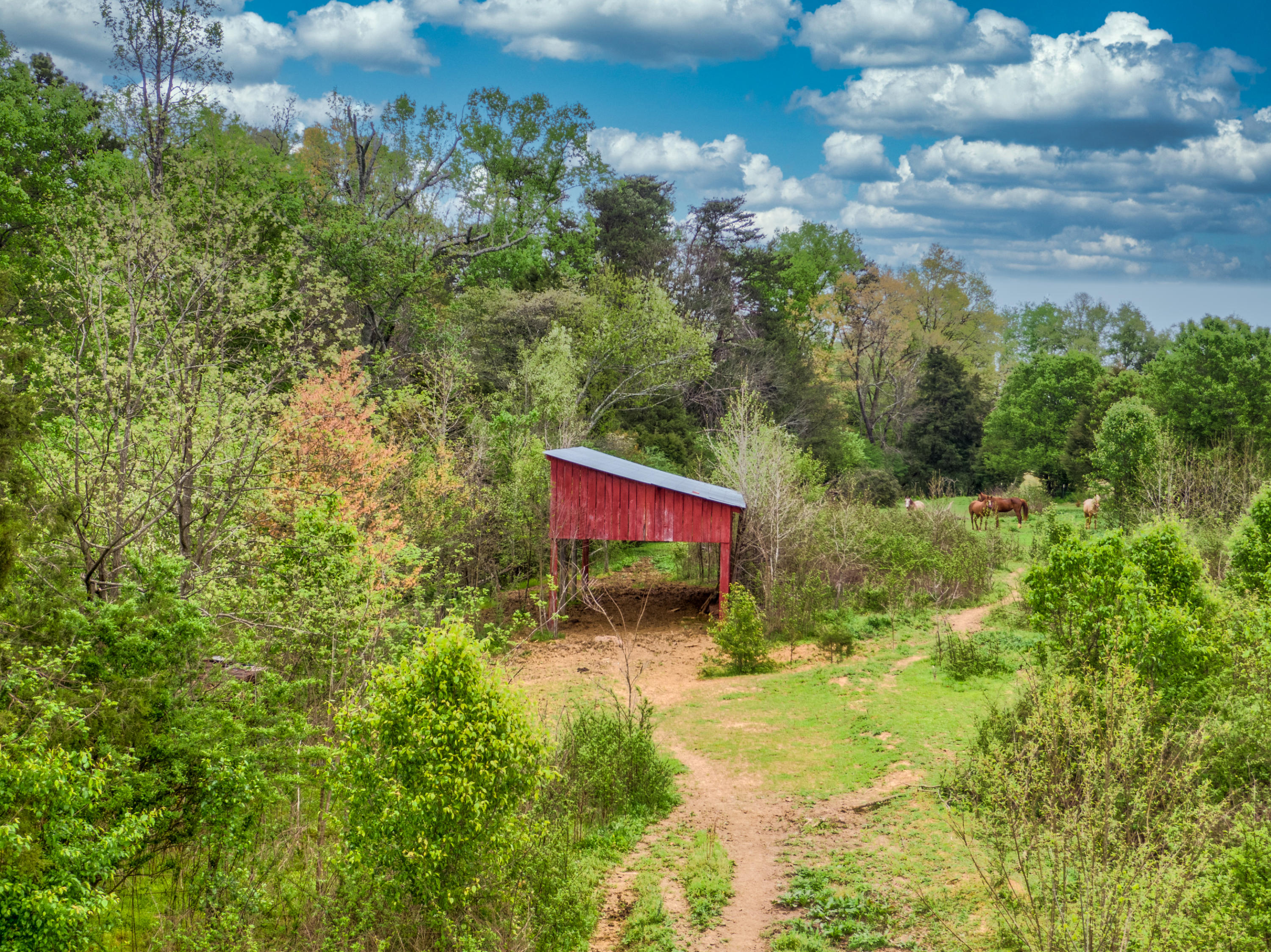 155 Campground Road Madisonville, TN 37354 - Photo 13 of 18 barn 3