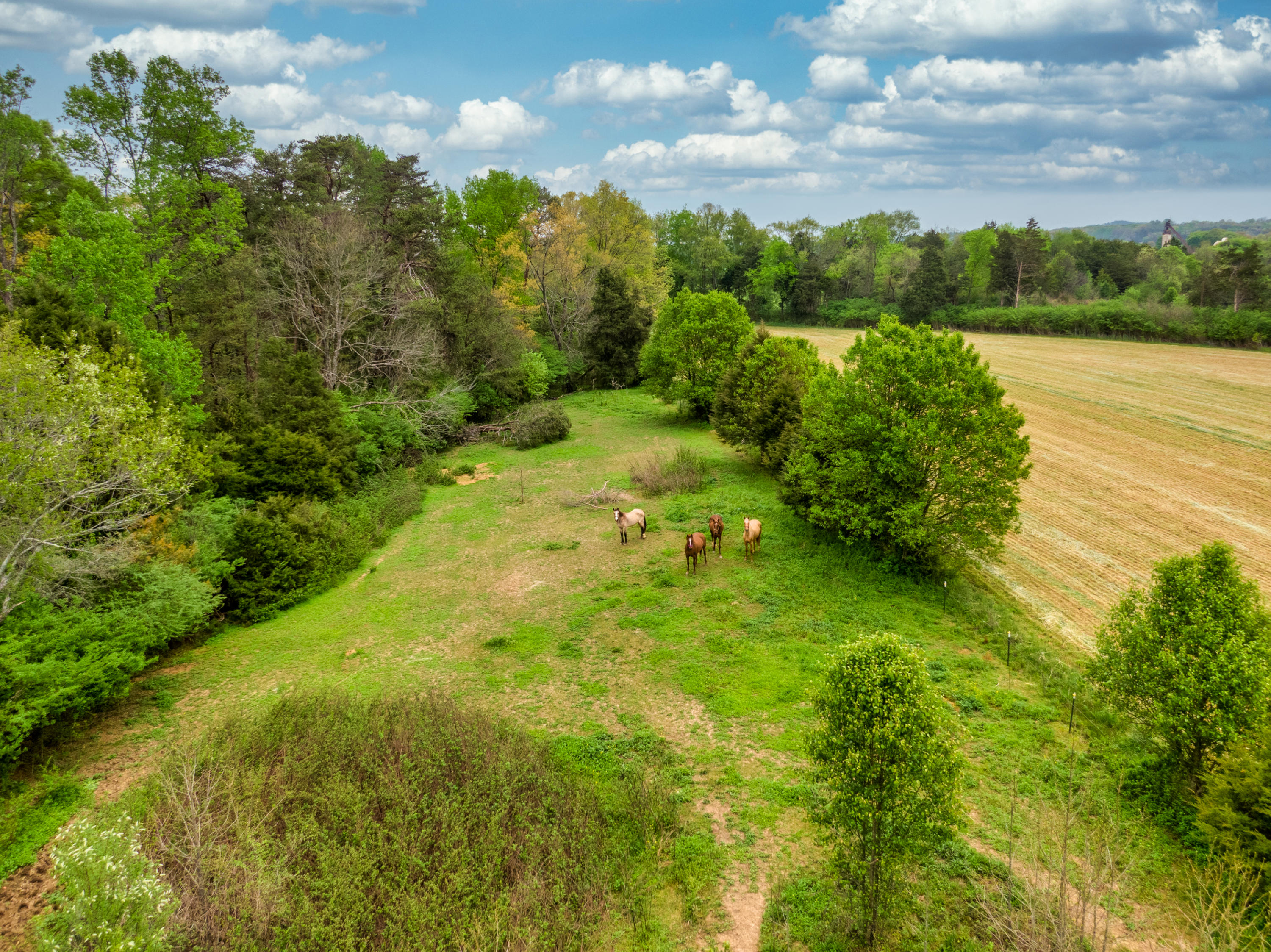155 Campground Road Madisonville, TN 37354 - Photo 17 of 18 aerial 4