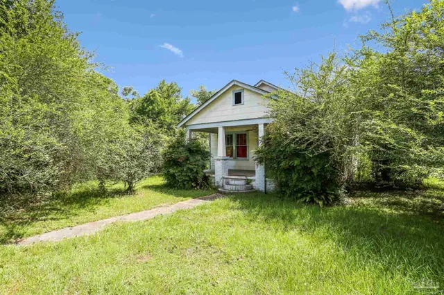 a view of a yard with a tree