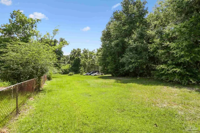a view of a yard with plants