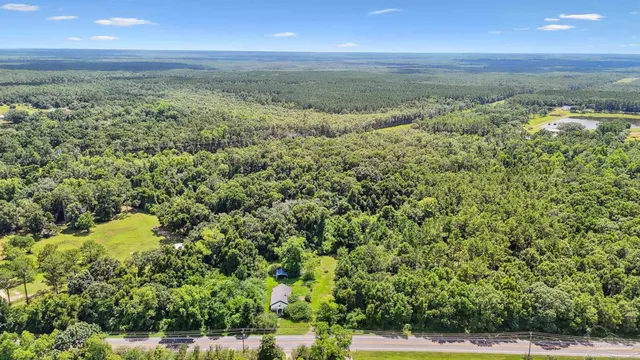 a view of a green field with lots of bushes