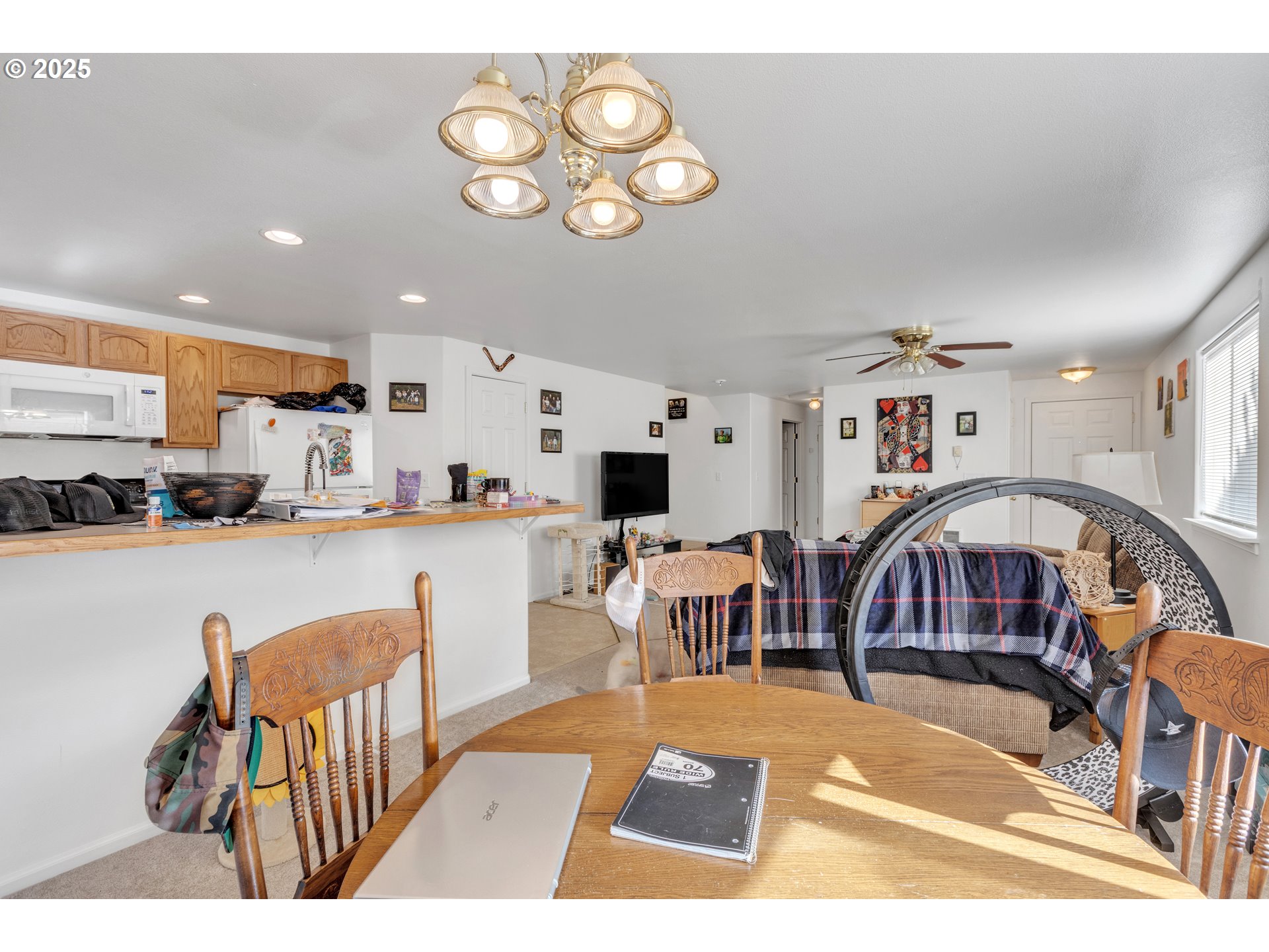 3397 Oak Street Florence, OR 97439 - Photo 9 of 48 a living room with couches a dining table and chairs with wooden floor