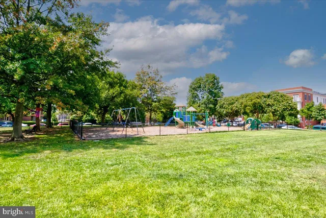 a view of a park with large trees