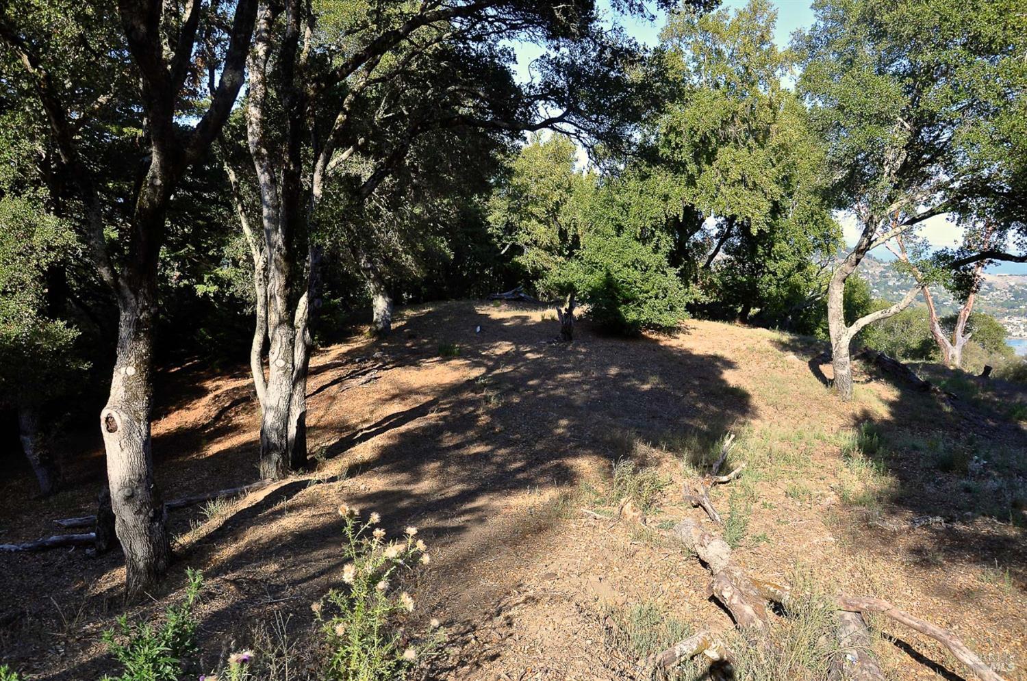 128 Ridgecrest Road Kentfield, CA 94904 - Photo 43 of 69