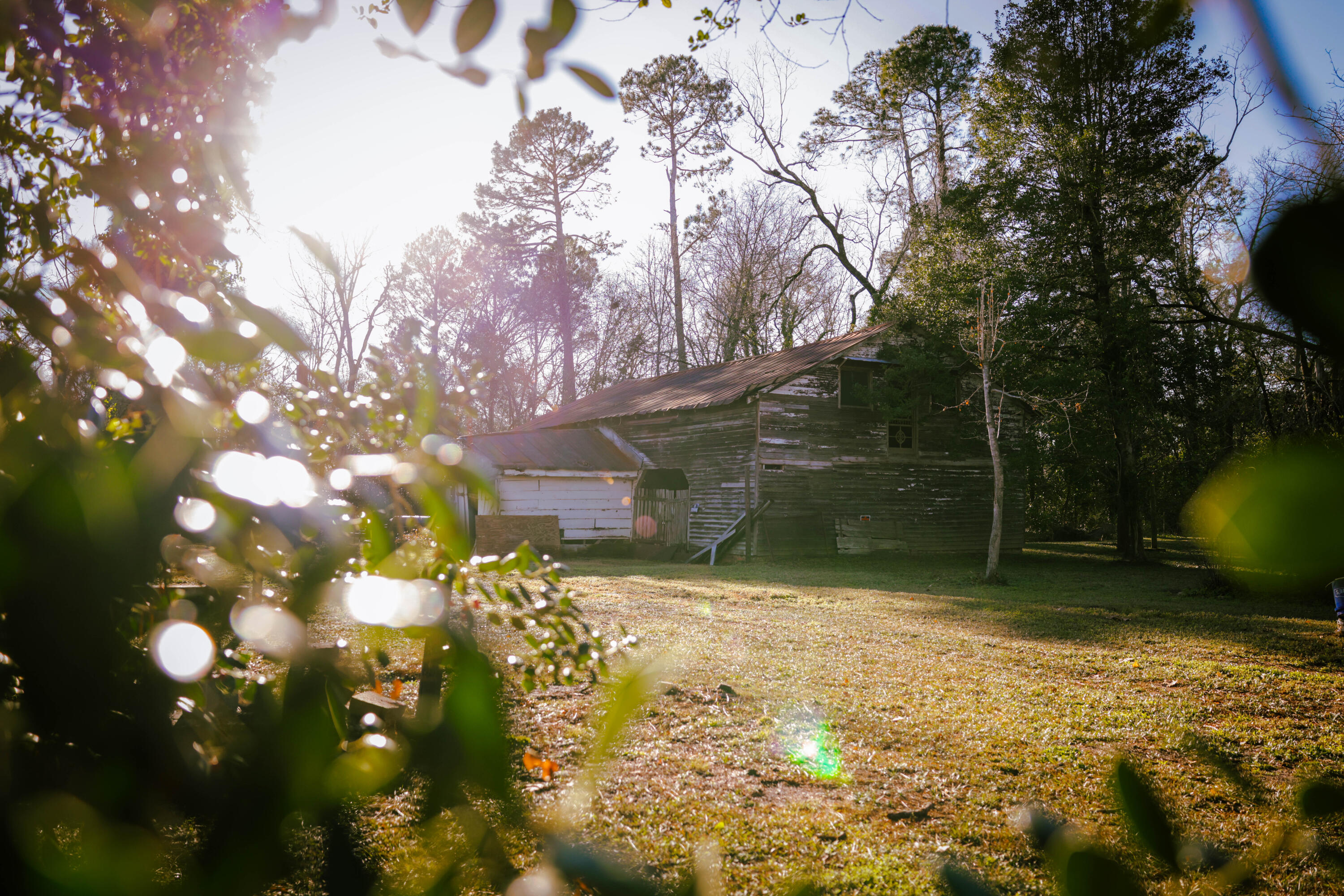 114 Clark Street Blythe, GA 30805 - Photo 8 of 35 COLORCOR-1884