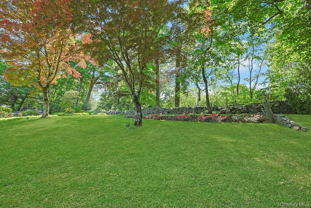 97 Underhill Road Scarsdale, NY 10583 - Photo 30 of 39 a view of a park with trees in the background