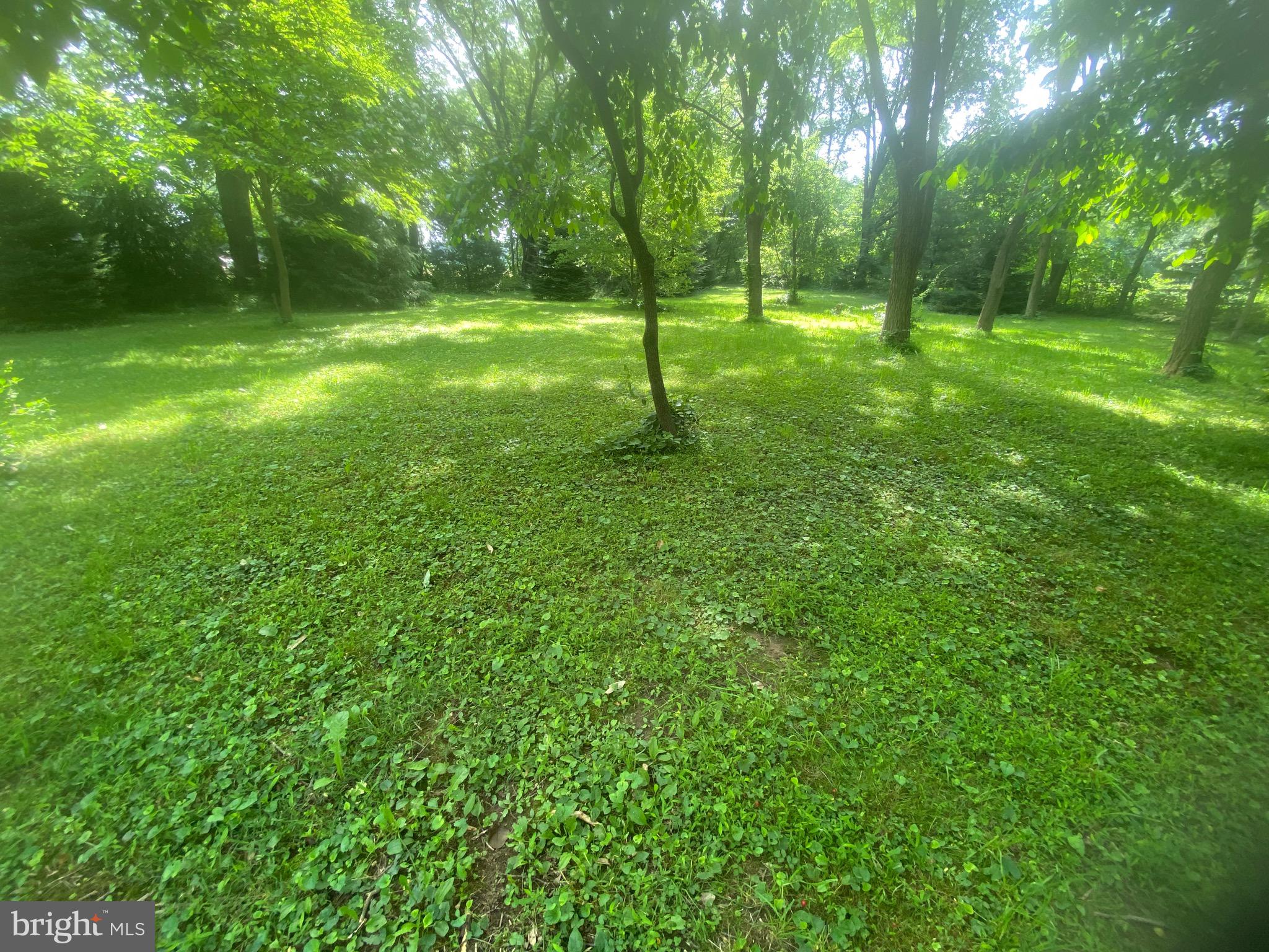 1602 South Forge Road Palmyra, PA 17078 - Photo 11 of 35 Beautiful secluded wooded area in rear of property