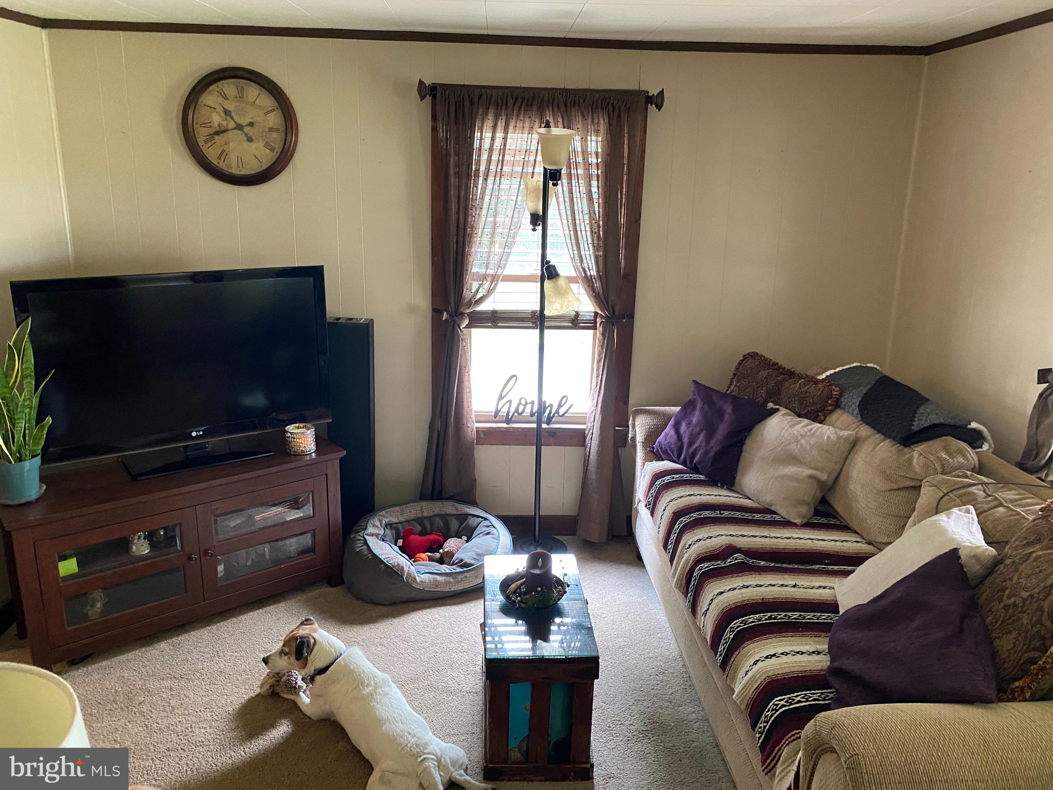 1602 South Forge Road Palmyra, PA 17078 - Photo 23 of 35 Cozy living room
