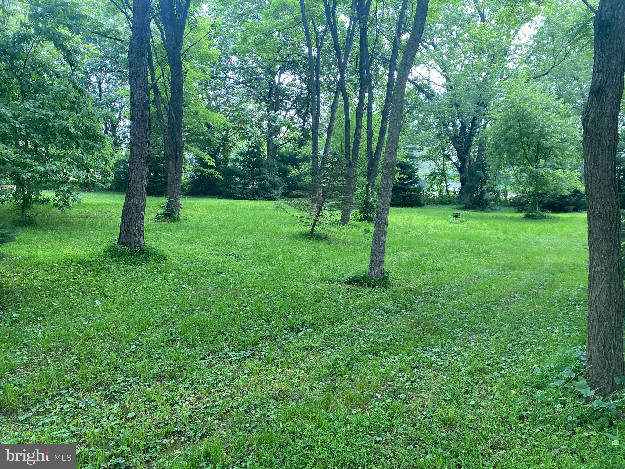 1602 South Forge Road Palmyra, PA 17078 - Photo 28 of 35 Gallery Image 28