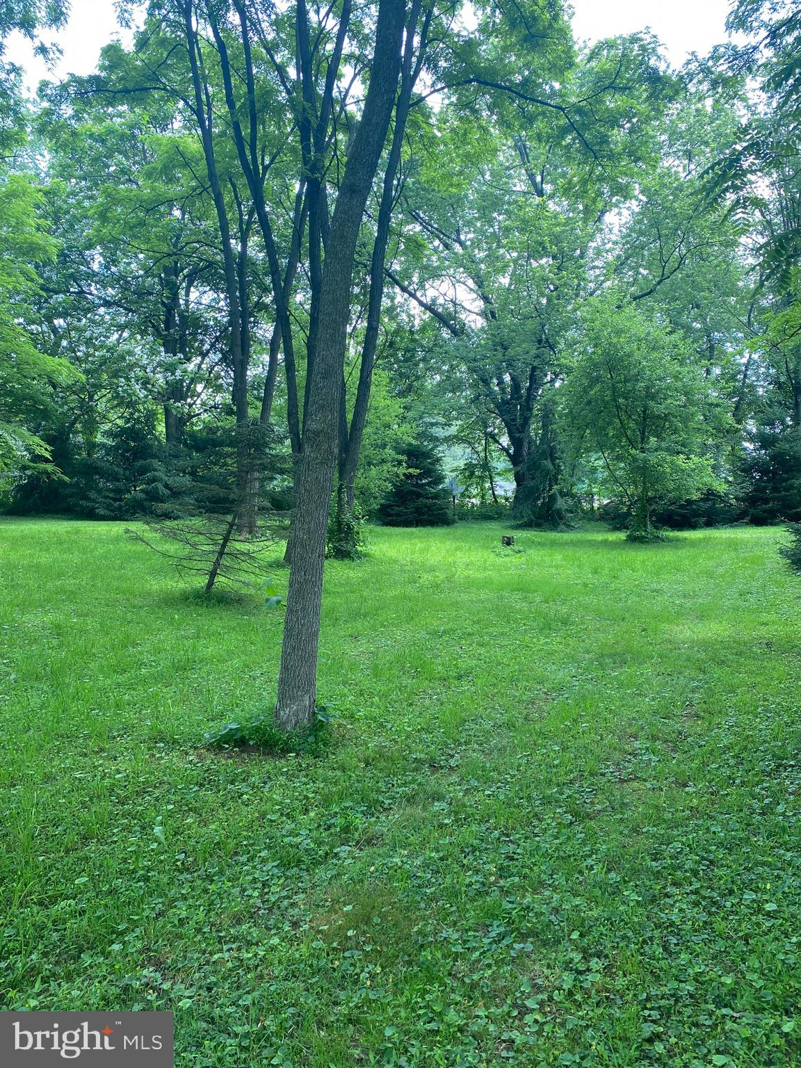 1602 South Forge Road Palmyra, PA 17078 - Photo 29 of 35 Beautiful secluded wooded area in rear of property