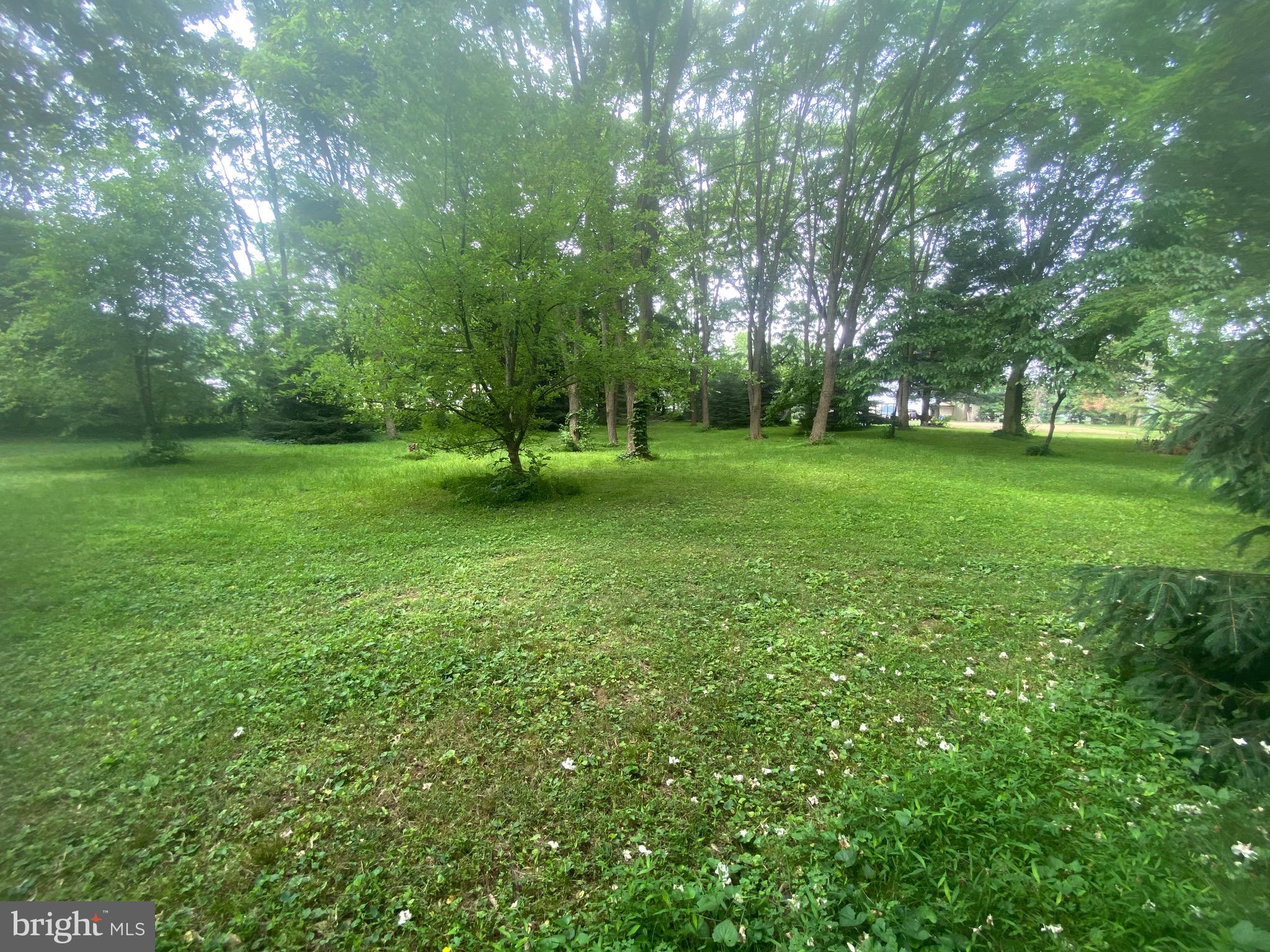 1602 South Forge Road Palmyra, PA 17078 - Photo 30 of 35 Beautiful secluded wooded area in rear of property