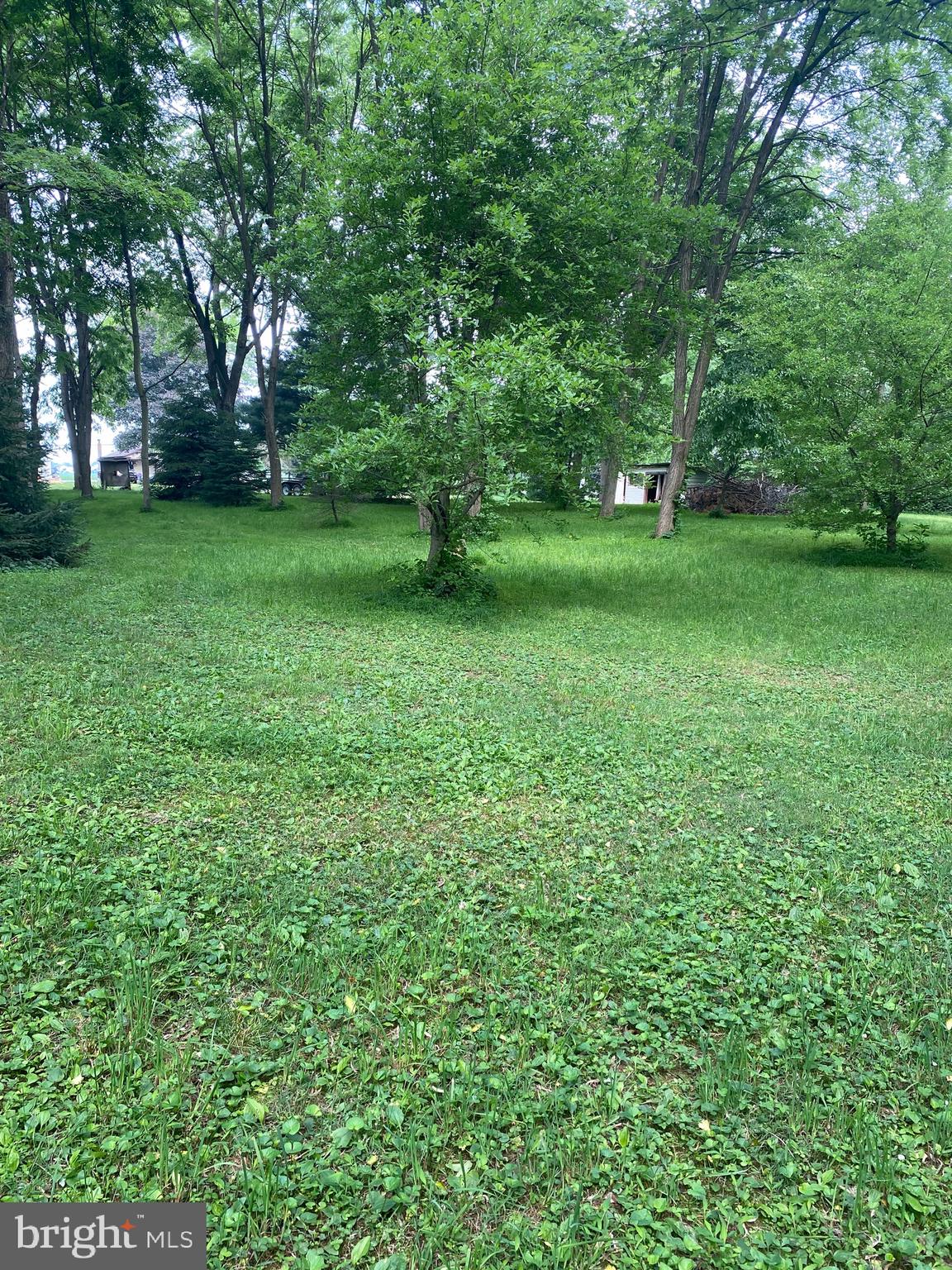 1602 South Forge Road Palmyra, PA 17078 - Photo 31 of 35 Beautiful secluded wooded area in rear of property