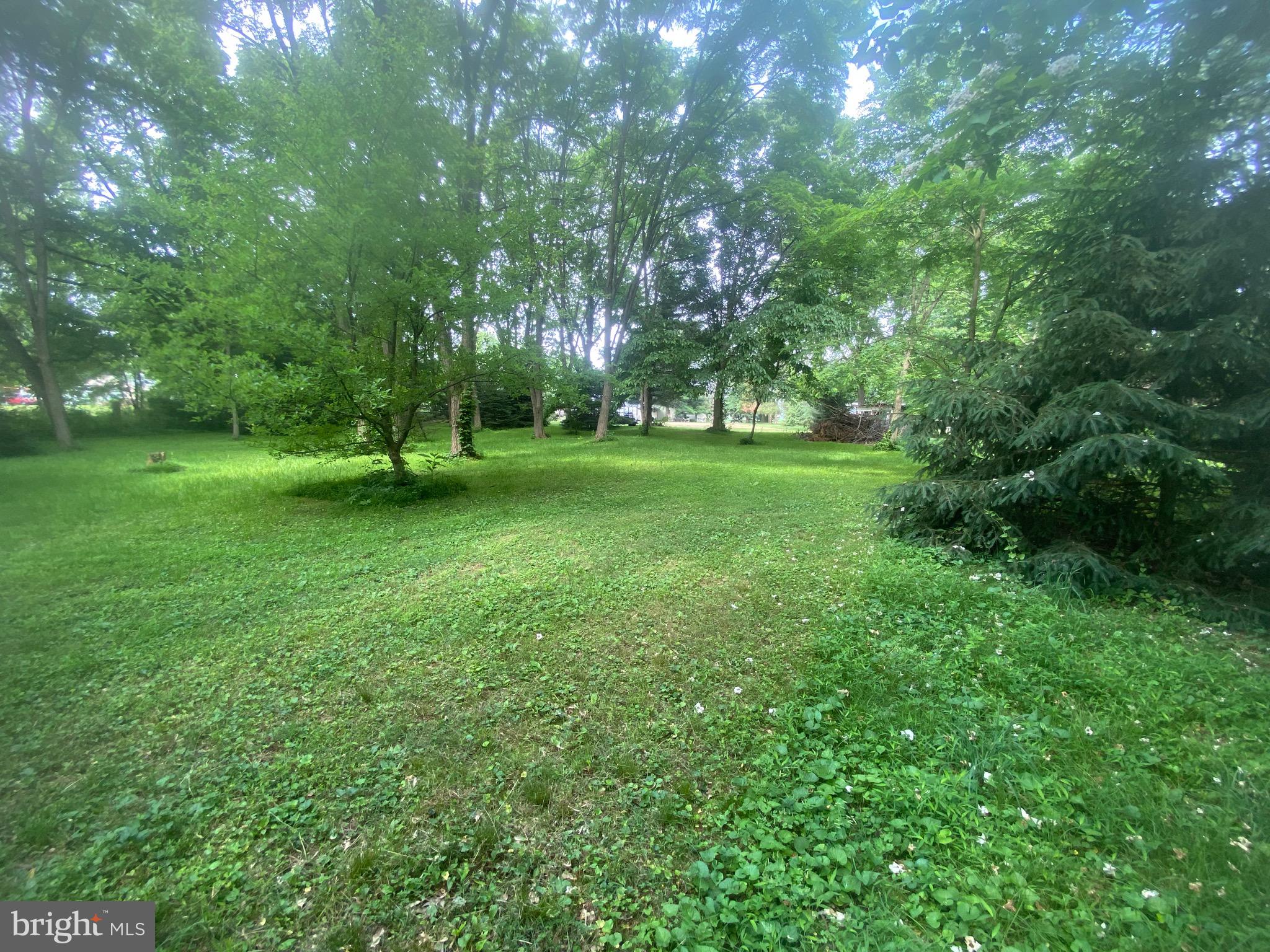 1602 South Forge Road Palmyra, PA 17078 - Photo 32 of 35 Beautiful secluded wooded area in rear of property
