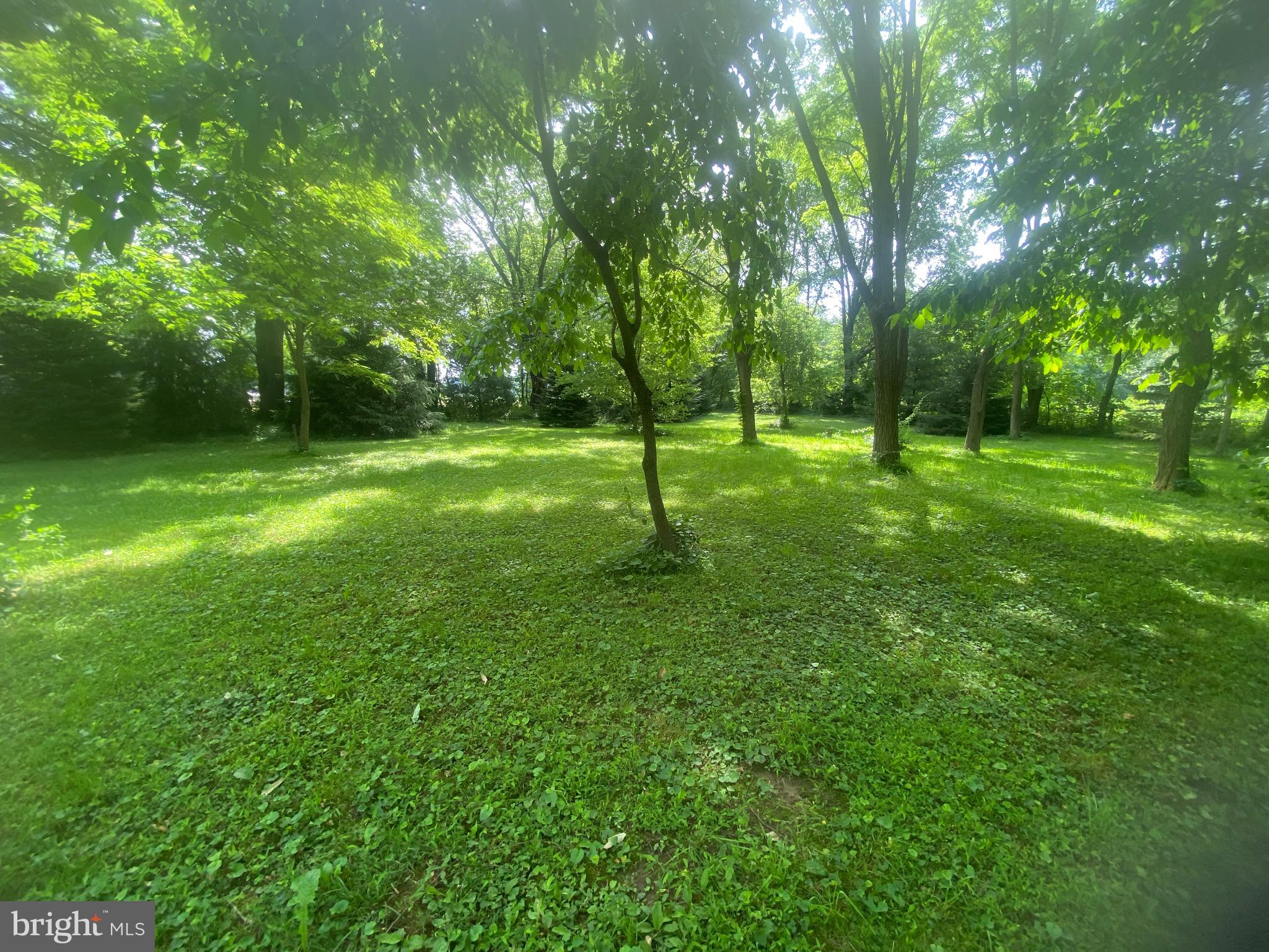1602 South Forge Road Palmyra, PA 17078 - Photo 33 of 35 Beautiful secluded wooded area in rear of property