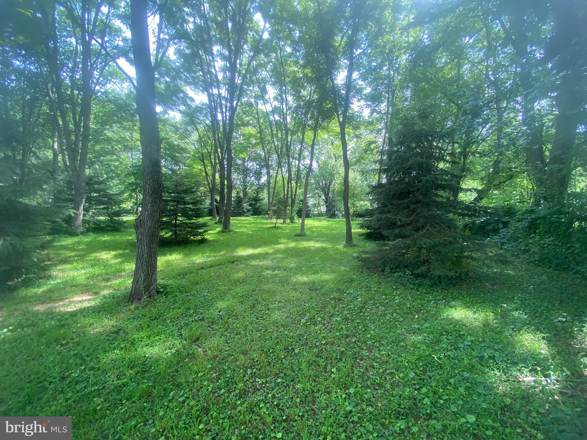 1602 South Forge Road Palmyra, PA 17078 - Photo 34 of 35 Beautiful secluded wooded area in rear of property